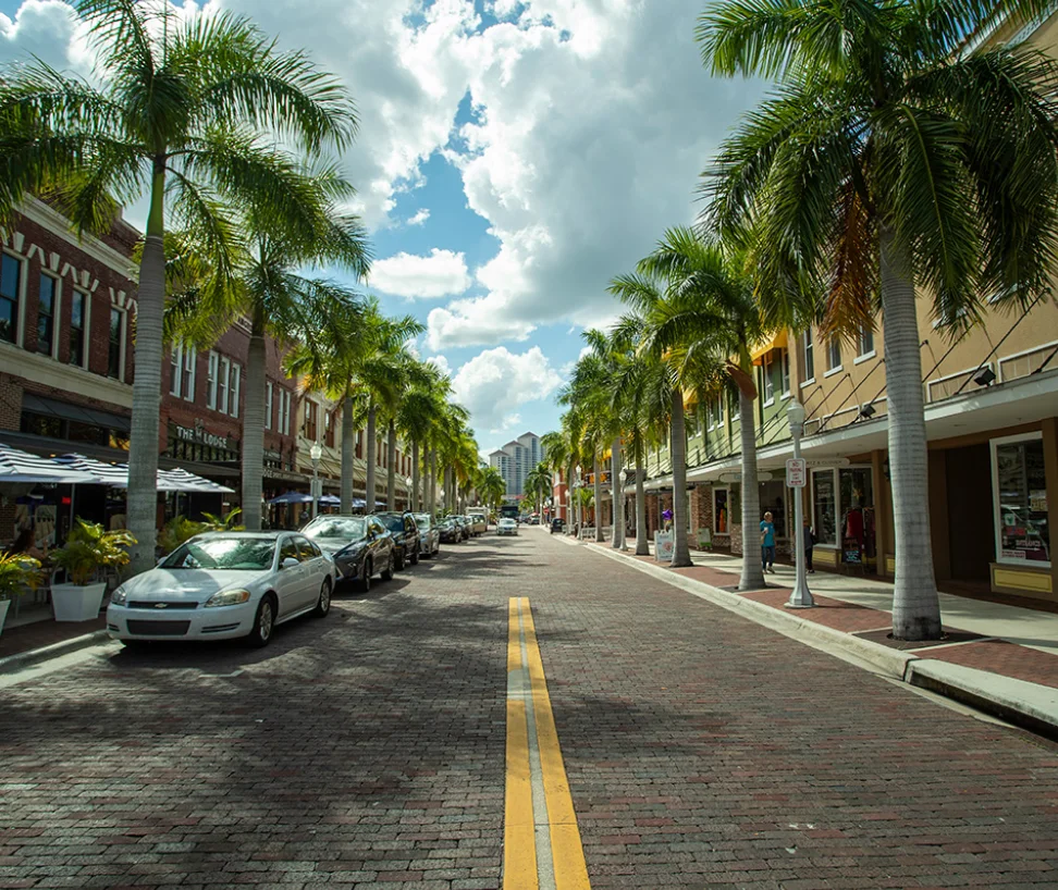 Palm-lined street in Fort Myers River District